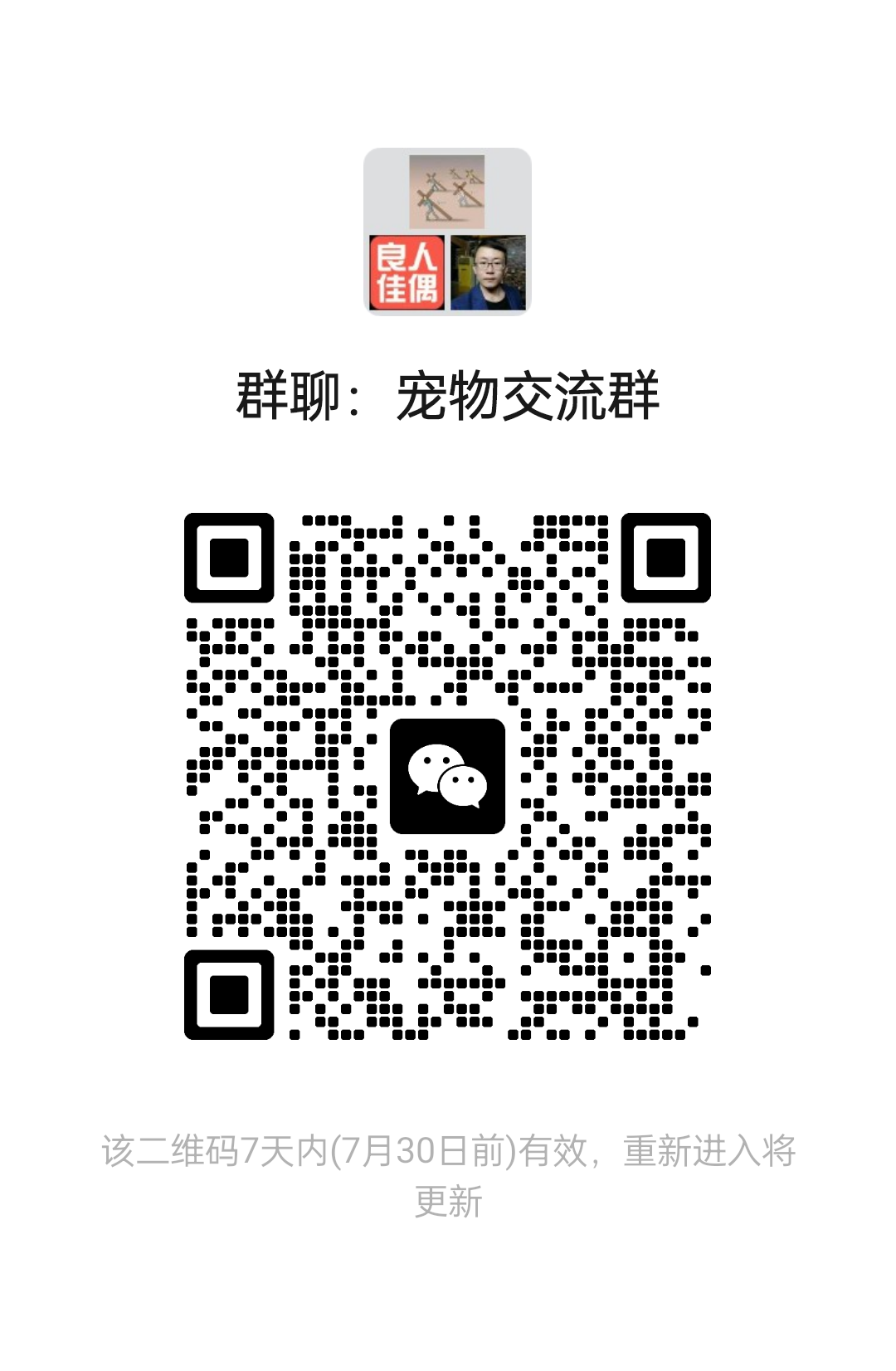 宠物交流群