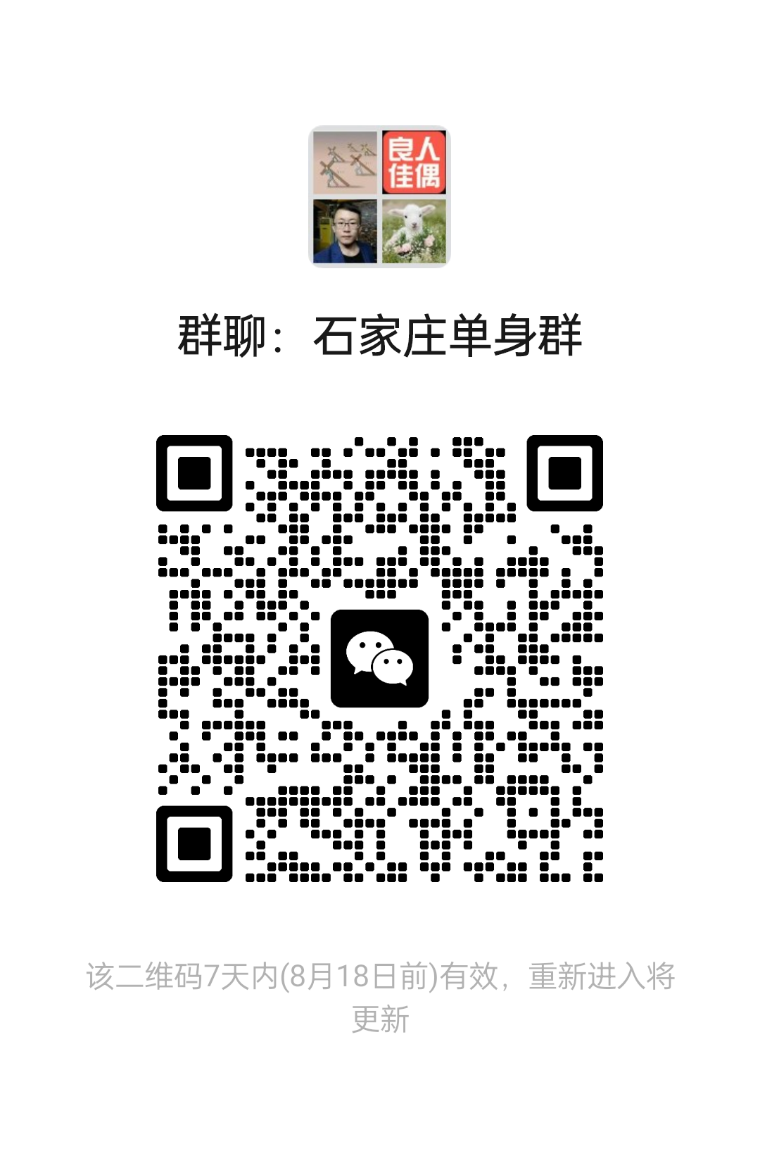 石家庄单身群