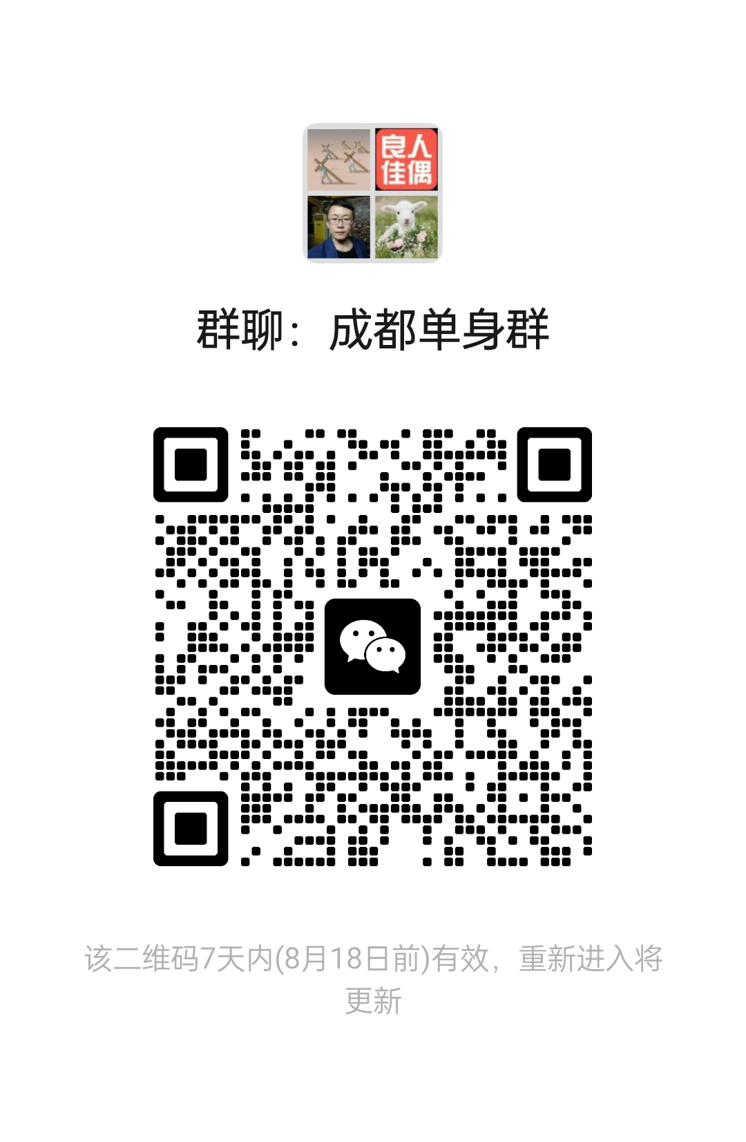成都单身群