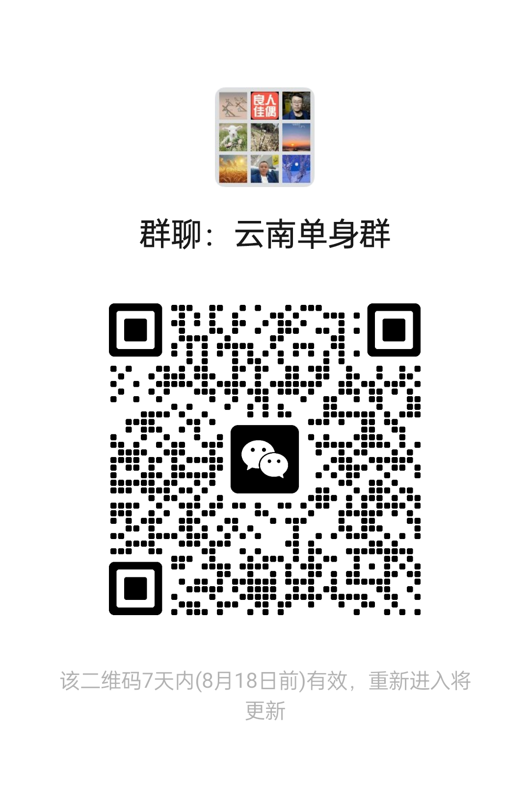 云南单身群